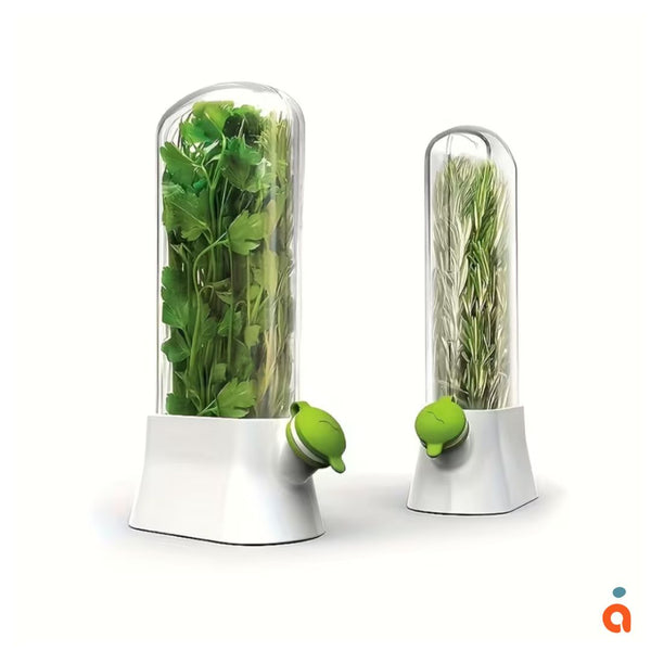 Boîte de Conservation pour Herbes Fraîches – Conservateur pour réfrigérateur