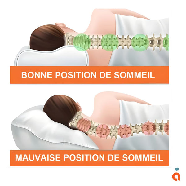 Oreiller Ergonomique à Mémoire de Forme – Soutien Cervical pour un Sommeil Réparateur - WelneZzZ®