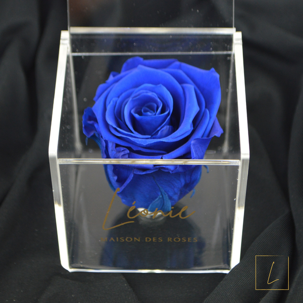 Boite De Rose Eternelle Ocean Blue Premium Acrylique à Clapet - Léonie®