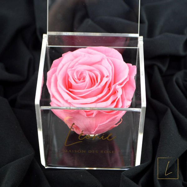 Boite De Rose Eternelle Baby Pink Premium Acrylique à Clapet - Léonie®