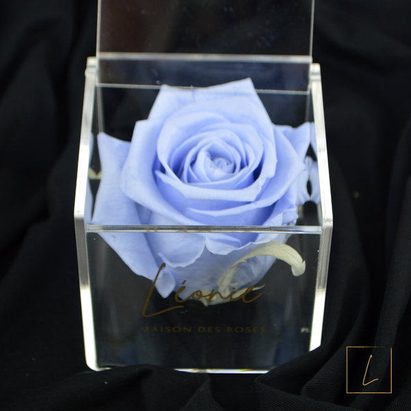 Boite De Rose Eternelle Lavender XXL Premium En Acrylique à Clapet - Léonie®